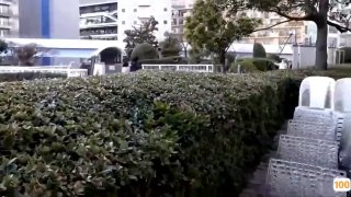 真冬喝茶的老司机㊙️➕av电影在线观看 免费